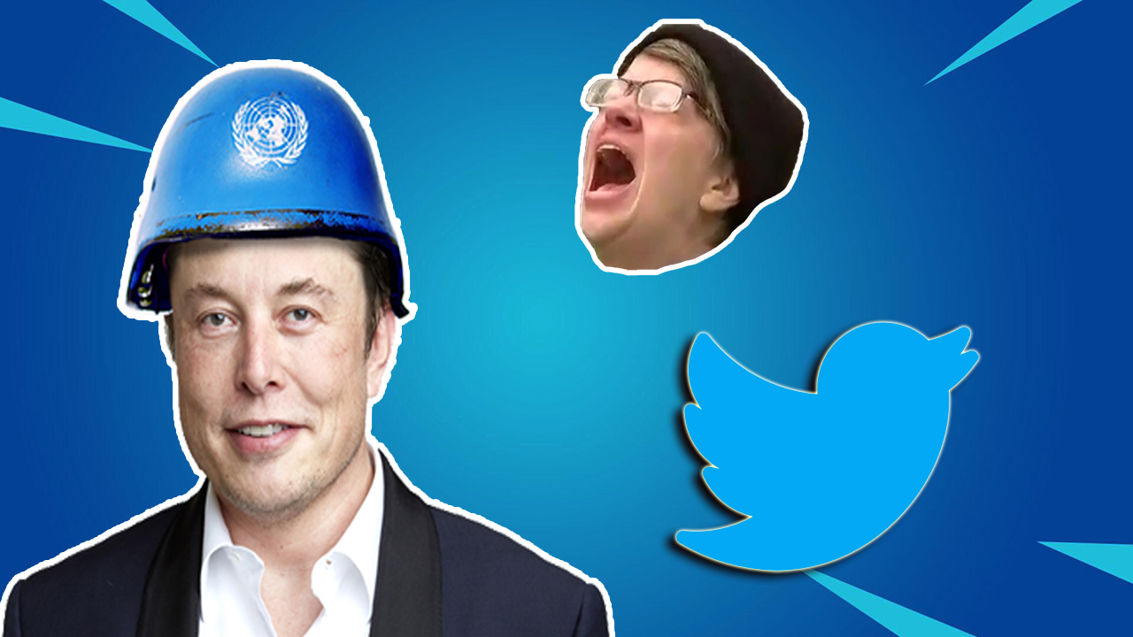 Elon Musk et Twitter, quelle suite ? 